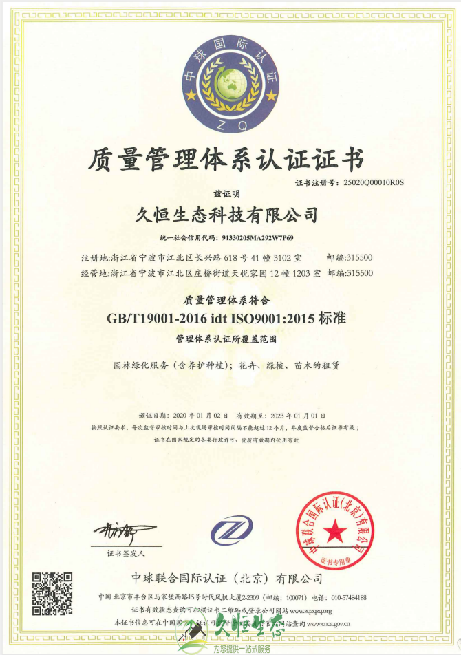 杭州余杭质量管理体系ISO9001证书